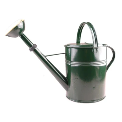 Afbeelding van Plantengieter groen gelakt met messing broes 8L