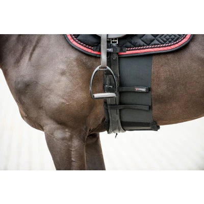 Image de Catago Body Shield Noir L