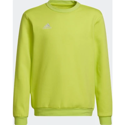 Afbeelding van adidas Performance Fussball Teamsport ENTR Sweater voor kinderen, Maat: 152, Gruen