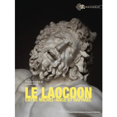 Image de Le Laocoon entre Michel Ange et Raphaël