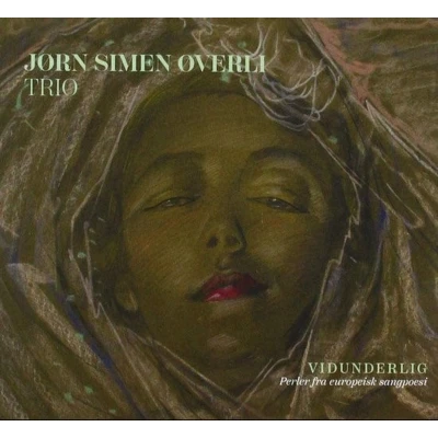 Afbeelding van Jorn Simen Overli Vidunderlig Perler Fra Europisk Sangpoesi (CD)
