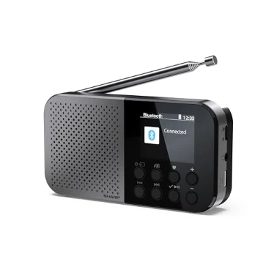 Afbeelding van SHARP DR P520(GY) Osaka Draagbare digitale zakradio met Bluetooth 5.3, DAB+/FM mono audiospeler, compact en licht, USB C/batterij, dubbele wekker, stormgrijs