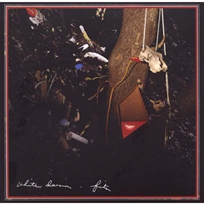 Afbeelding van White Denim Fits (CD)