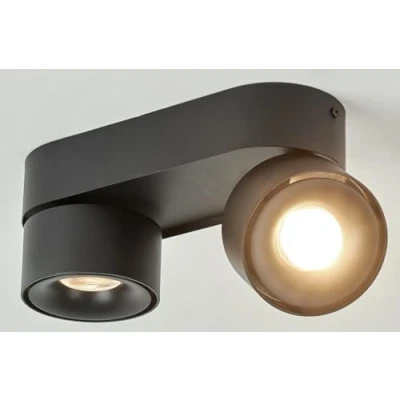 Afbeelding van Budbuddy 12 W led plafondlamp, 2 spots, draaibaar, plafondspots, zwart, spot rails voor binnen, modern, hal, woonkamer, kantoor, winkel en meer, 4000 K