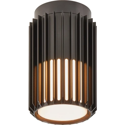 Afbeelding van Nordlux Aludra plafondlamp seaside E27 zwart