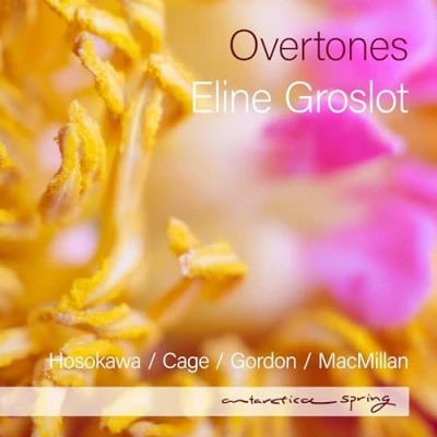 Afbeelding van Eline Groslot: Overtones