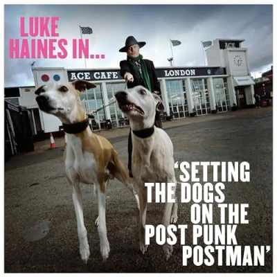 Afbeelding van Luke Haines Haines..