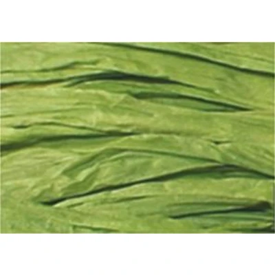 Afbeelding van Raffia Folia 50gr. groen