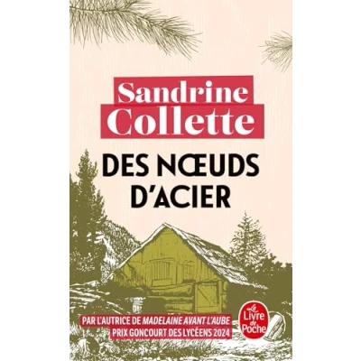 Afbeelding van ISBN Des Noeuds D&#039;Acier, Misdaadboeken, Frans, Paperback