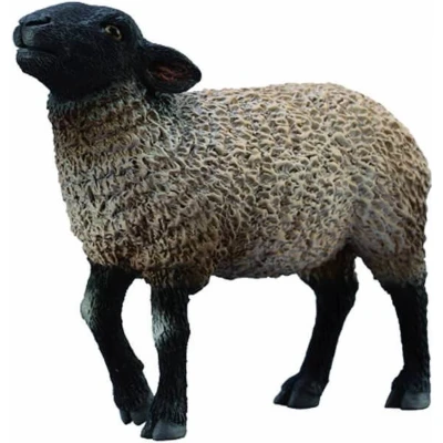 Afbeelding van Collecta Boerderijdieren: Suffolk 10 Cm Zwart/wit