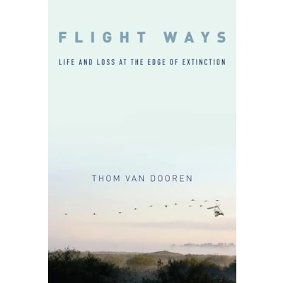 Afbeelding van Flight Ways