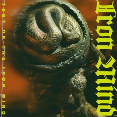 Afbeelding van Iron Mind Test Of The (CD)