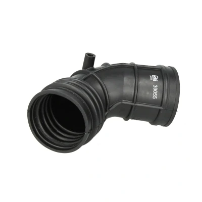 Afbeelding van Febi Bilstein Inlaatslang /pijp luchtfilter 39055