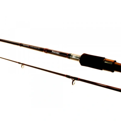 Image de Canne mort manié Rozemeijer Qualifier V2 Jointed Deadbait 3,00m (90 150g)