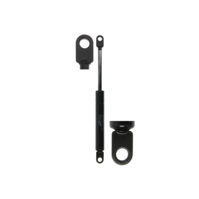 Afbeelding van STABILUS 8275YC Gasveer achterklep Zonder spoiler Kofferruimtedeksel