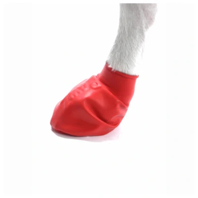 Afbeelding van Pawz Rubber Dog Boots Hondenschoen Rood Small