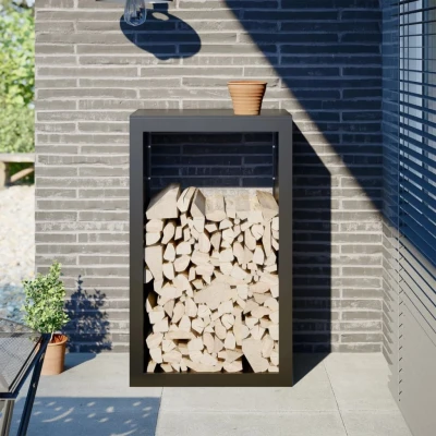 Afbeelding van vidaXL Haardhoutrek 60x40x100 cm staal zwart
