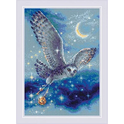 Afbeelding van RIOLIS Magic Owl borduren (pakket)