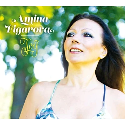 Afbeelding van Amina Figarova Joy (CD)