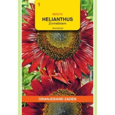Afbeelding van Helianthus Zonnebloem Avondrood