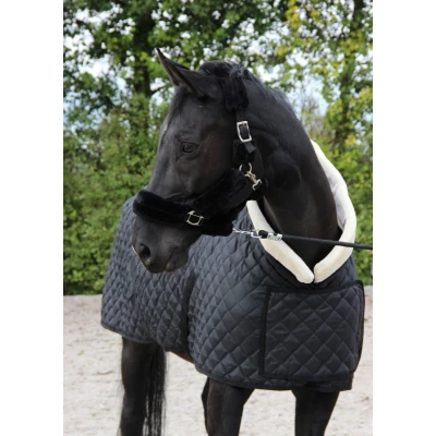 Image de HB Showtime Couverture de Concours Desire160gr Noir 125/175