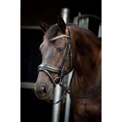 Afbeelding van HB Showtime Hoofdstel Golden Dreams Zwart/Goud Glitter Full