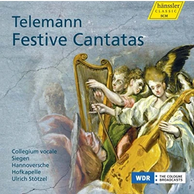 Afbeelding van Stotzel &amp; Feuersinger Vitzthum Festliche Kantaten (CD)
