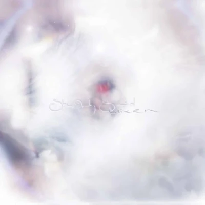 Afbeelding van Glixen She Only Said (LP)
