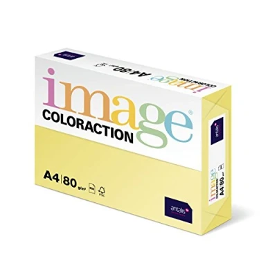 Image de Coloraction 838A 080S 4 Antalis Papier couleur A4 80 g/m Jaune désert/4 Import Allemagne