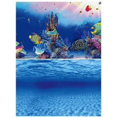 Afbeelding van Superfish Deco Poster F2 60x49 cm