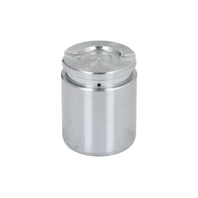 Afbeelding van Zuiger, remklauw AUTOFREN SEINSA D02593