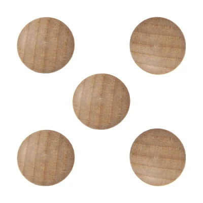 Image de Legamaster Wooden aimants (5 pièces)