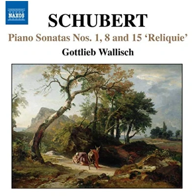 Afbeelding van Wallisch Piano Sonatas (CD)