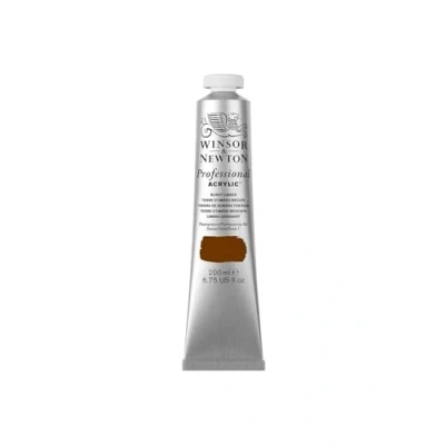 Afbeelding van Winsor &amp; Newton Professionele acryl tube 200 ml 076 ombre aarde, verbrand