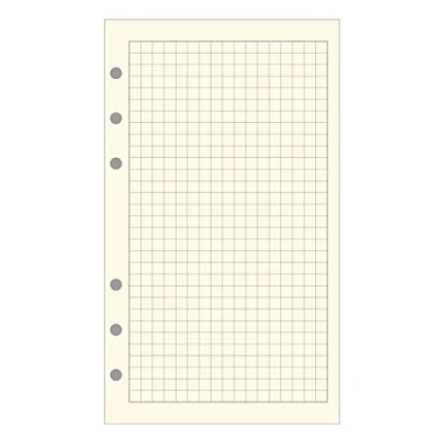 Afbeelding van Exacompta 18511E accessoires om bij te vullen, geperforeerd, geruit 5 mm x voor Organizer Exatime 17 44 vellen ivoorkleurig papier
