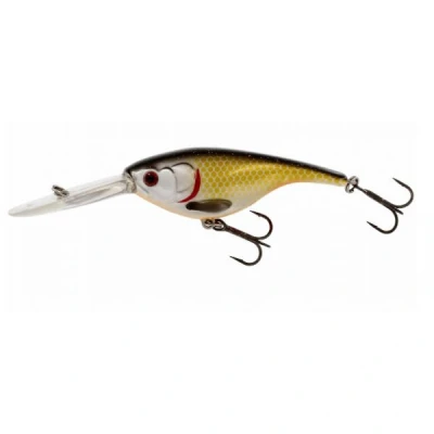 Afbeelding van Westin BabyBite DR Crankbait 6,5cm Official Roach Plug