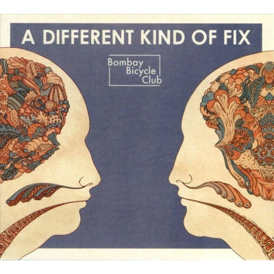 Afbeelding van Different Kind Of Fix