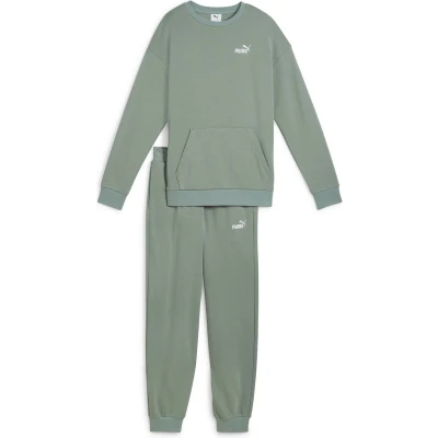 Afbeelding van Puma Relaxed SUIT SET Trainingspak, Dames, Maat: Medium, Green moon