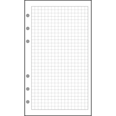 Afbeelding van Exacompta 14011E 5 x geperforeerde geruite vellen voor Exatime 14 Organizer Witte