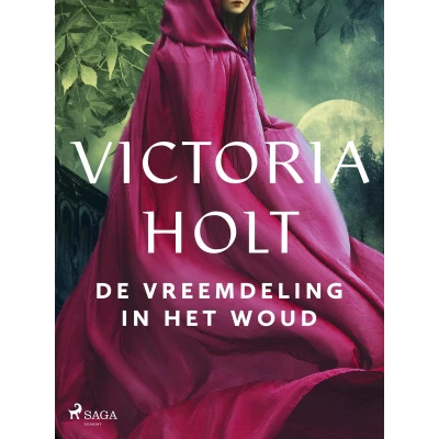 Afbeelding van De vreemdeling in het woud