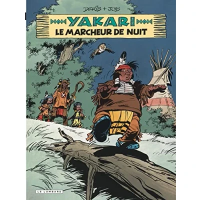Afbeelding van Le marcheur de nuit