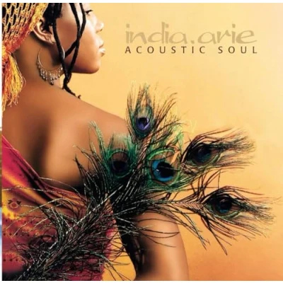Afbeelding van Acoustic Soul