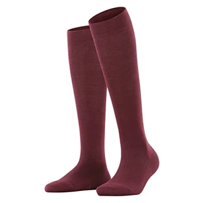 Afbeelding van Falke dames Family kniekousen in katoenblend de kleur Bordeauxrood, maat: 39/42