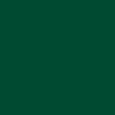 Afbeelding van plottiX Perm Vinylfolie, 31,5 cm x 1 m, donkergroen
