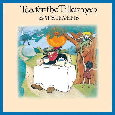 Afbeelding van Cat Stevens Tea For The Tillerman (CD)