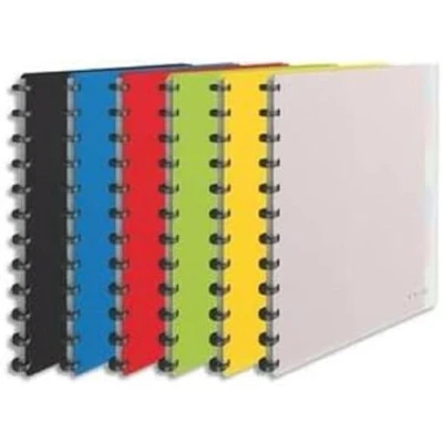 Afbeelding van ESSELTE Documentenmap met 25 uitneembare hoezen, 264 x 310 21 mm, verschillende kleuren