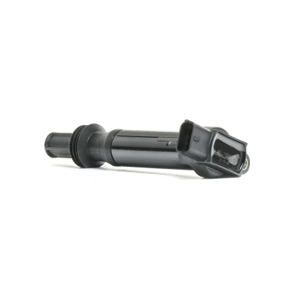 Afbeelding van Bobine DELPHI GN10584 12B1