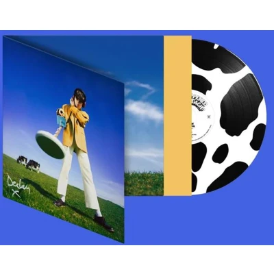 Afbeelding van Declan McKenna What Happened to the Beach? (Black &amp; White Picture Disc LP)