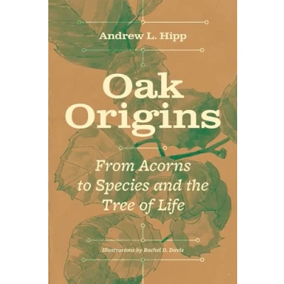 Afbeelding van Oak Origins