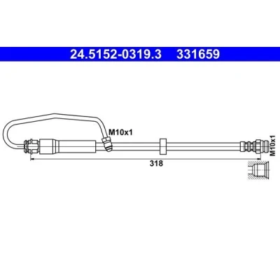 Afbeelding van ATE 24.5152 0319.3 Remslang 318 M10x1